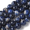 Natural South Africa Sodalite Beads Strands G-S259-35-10mm-2