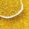 Two Cut Glass Seed Beads CSDB30-2