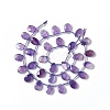 Natural Amethyst Beads Strands G-G805-B17-3