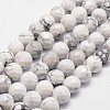 Natural Howlite Beads Strands X-G-D840-44-8mm-1
