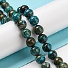 Natural Chrysocolla Beads Strands G-P503-8MM-05-2