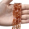 Natural Red Agate Beads Strands G-Z119-A02-01-2