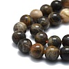 Natural Black Sunstone Beads Strands G-E576-01B-3