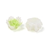 Luminous Resin Decoden Cabochons LS-RESI-K036-06F-02-3