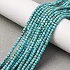 Natural Howlite Beads Strands G-B142-C04-2x2mm-1