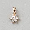 Brass Micro Pave Cubic Zirconia Charms ZIRC-TAC0003-15B-1