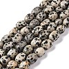 Natural Dalmatian Jasper Beads Strands G-G146-A24-01-1