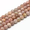 Natural Sunstone Beads Strands G-R447-12mm-02-1