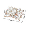 Alloy Glass Detachable Shoe Buckle Clips FIND-WH0423-73RG-01-2