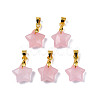 Natural Rose Quartz Charms G-N326-142-09-2