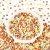 Opaque Acrylic Beads OACR-N150-05N-2