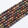 Natural Polychrome Jasper/Picasso Stone/Picasso Jasper Beads Strands G-E444-43-6mm-1