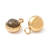 Natural Labradorite Charms G-K325-01G-04-2