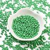 Baking Paint Glass Seed Beads SEED-A033-05Q-2