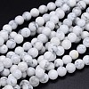 Round Natural Howlite Bead Strands LS-G-F222-14-10mm-1