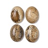 Natural Picture Jasper Cabochons G-B080-01A-11-1