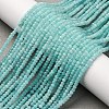 Natural Amazonite Beads Strands G-A276-B01-2x3mm-1