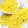 Baking Paint Glass Seed Beads SEED-H002-I-A502-1