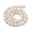 Natural Grey Moonstone Beads Strands G-I279-C01-10mm-A-3