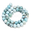 Natural Larimar Beads Strands GG-CBA007A-B01-10mm-4