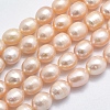 Natural Cultured Freshwater Pearl Beads Strands PEAR-K003-26C-01-1
