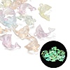 Luminous Translucent Acrylic Pendants AC-CBA5040-07-1