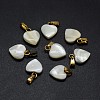 Shell Charms X-SSHEL-E564-26G-1