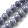 Synthetic Blue Lace Agate Beads Strands G-B071-F02-02-1