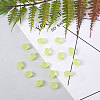 Czech Glass Beads GLAA-CJ0001-07-5