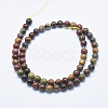 Natural Polychrome Jasper/Picasso Stone/Picasso Jasper Beads Strands G-E444-43-6mm-2