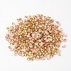 Back Plated Grade A Diamond Glass Pointed Rhinestone RGLA-SS8-023-2