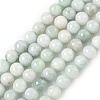 Natural Myanmar Jadeite Beads Strands G-M454-A01-8mm-2
