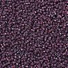 MIYUKI Delica Beads X-SEED-J020-DB1012-3