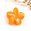 Resin Claw Hair Clips PW-WG0E0E6-04-1