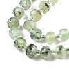 Natural Prehnite Beads Strands G-N327-08H-3