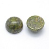 Natural Unakite Cabochons G-P393-R31-12mm-2