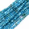 Natural Apatite Beads Strands G-E411-36-3mm-1