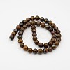 Natural Tiger Iron Bead Strands G-P070-13-4mm-2