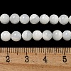 Natural Sea Shell Beads Strands SSHEL-K013-5.5mm-A-2