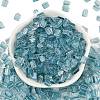 Transparent Spray Painted Glass Seed Beads SEED-L011-10A-09-2