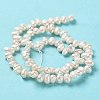 Natural Cultured Freshwater Pearl Beads Strands PEAR-J007-67-3