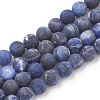 Natural Sodalite Beads Strands G-T106-054-1