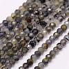 Natural Cordierite/Iolite/Dichroite Beads Strands G-F509-39-3mm-1