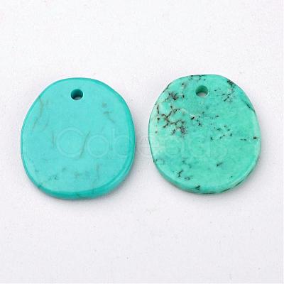 Natural Howlite Charms TURQ-G929-B02-1