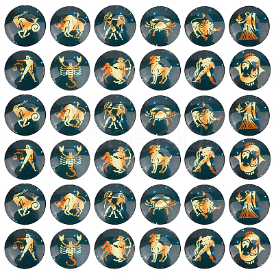 48pcs 12 Style Glass Cabochons GLAA-AR0001-11-1
