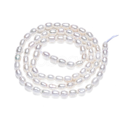Natural Cultured Freshwater Pearl Beads Strands PEAR-N012-03F-1