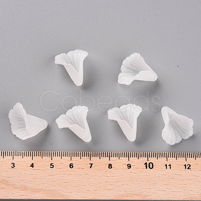 Transparent Acrylic Bead Caps PL551-1