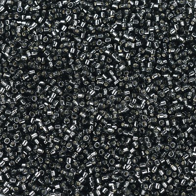 MIYUKI Delica Beads X-SEED-J020-DB0613-1