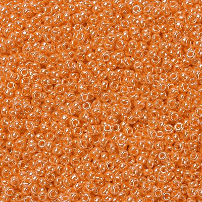 MIYUKI Round Rocailles Beads X-SEED-G007-RR0423-1