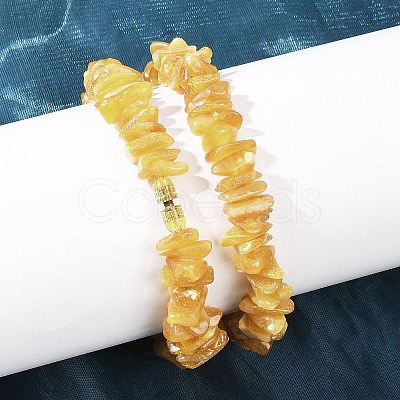 Natural Amber Chip Beaded Necklaces NJEW-L466-03C-1